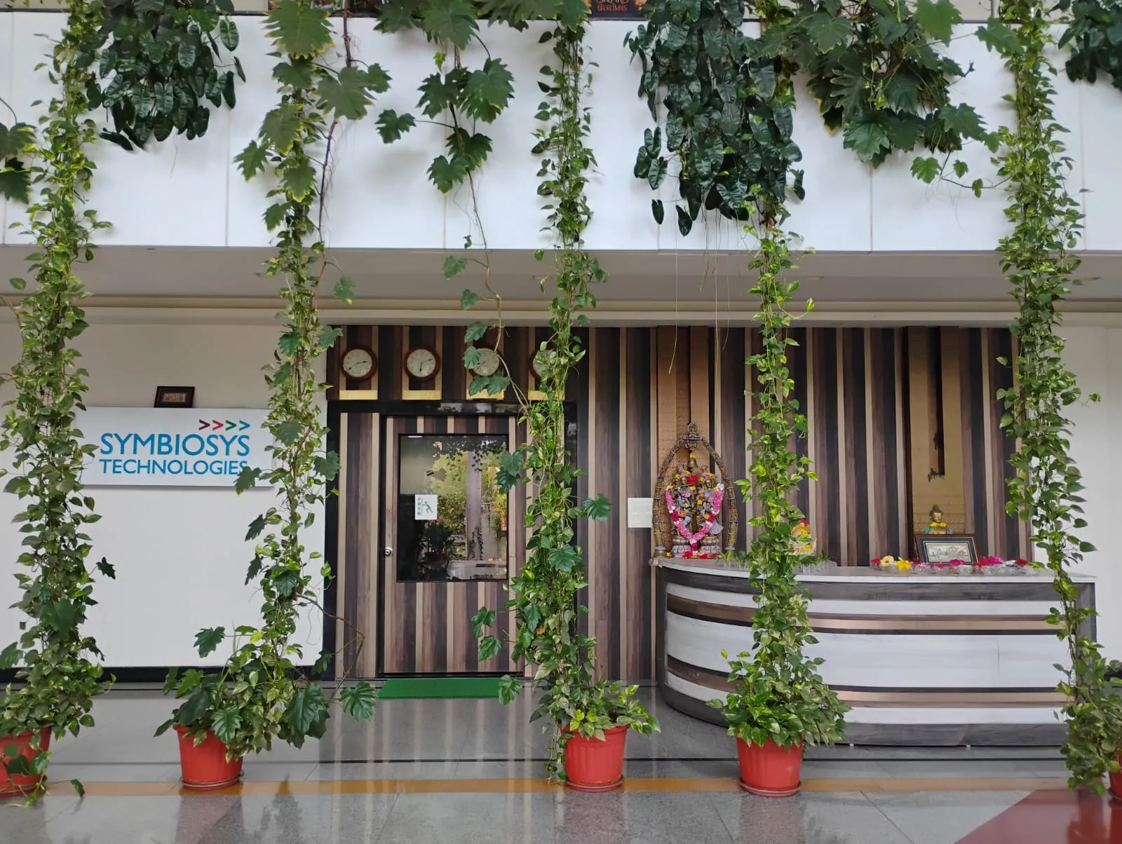 The Symbiosys reception, framed by hanging plants